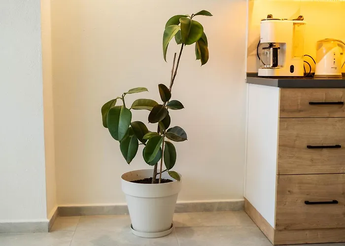 Stylish 2br In Oeluedeniz By The Forest With Pool Apartamento Fethiye